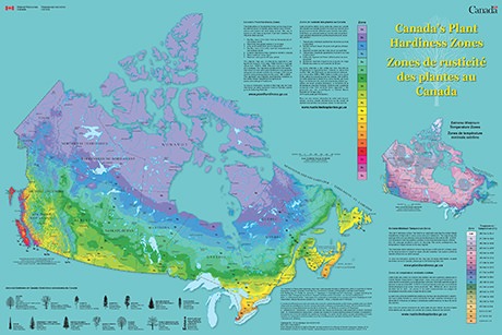 Canada-Hardiness-Zone-Map-thumb.jpg