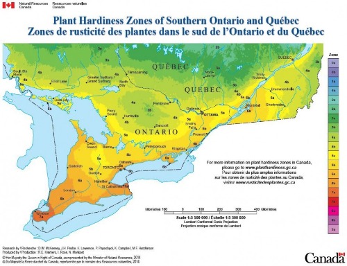 1521592608_Hardiness zone map Canada.jpg